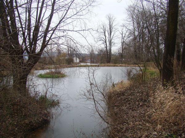 stawy dworskie - już w XVI wieku wspominane.