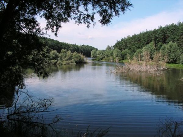 Jezioro Kopcze od grobli w kierunku Kaczor