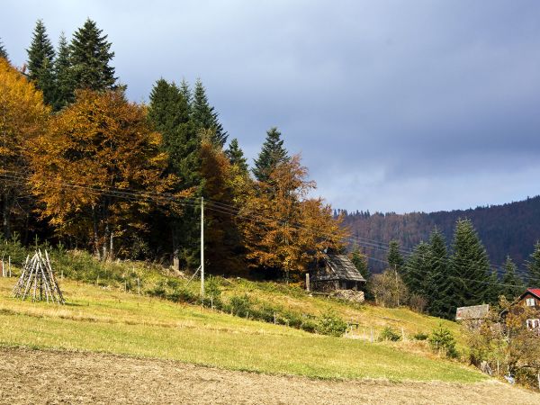 Na Obidzy , Piwniczna - Zdrój