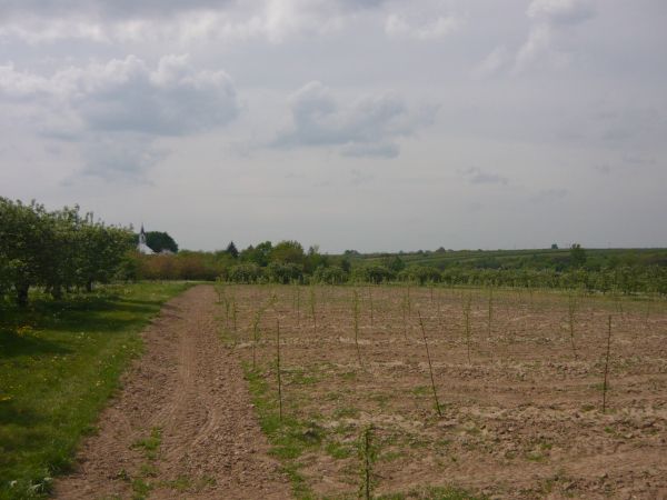 Widok na kościół od wschodniej strony.