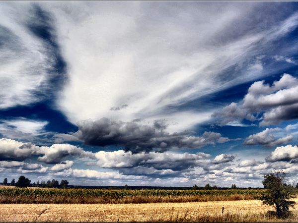 zdjecie Tyniewicze Duże