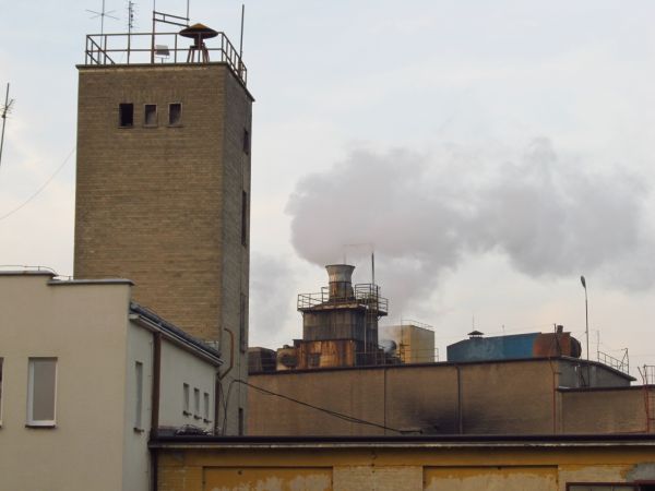 Teren zakładu płyt pilśniowych Steico, dawniejszy ZPP.