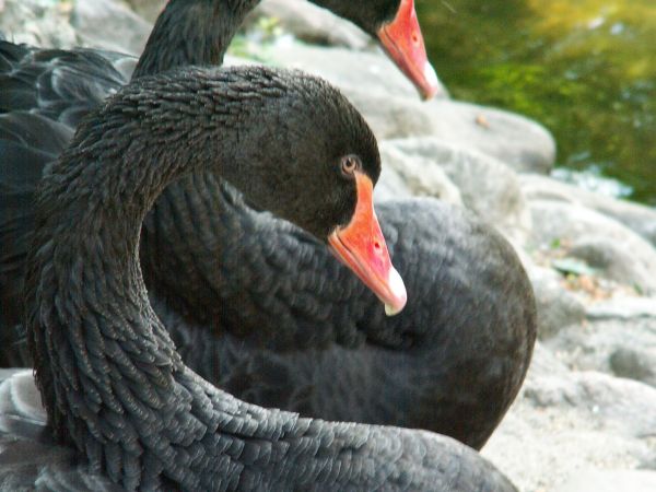 Zwiedzanie kraju - Ciechocinek.