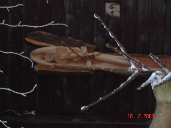 Fot. Ewa Kamila Jabłońska