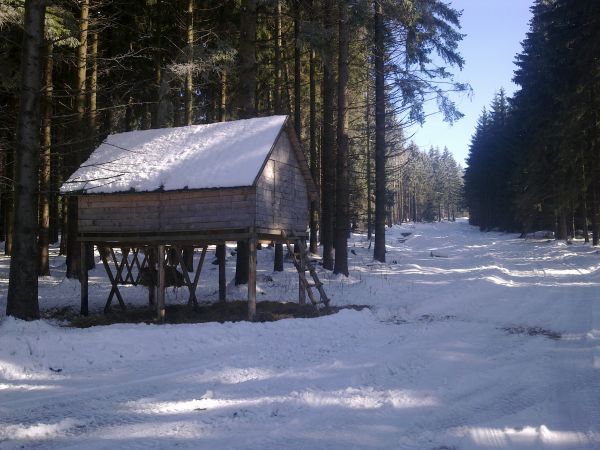 Różanka - żółtym szlakiem na Bochniak (713 m n.p.m.)