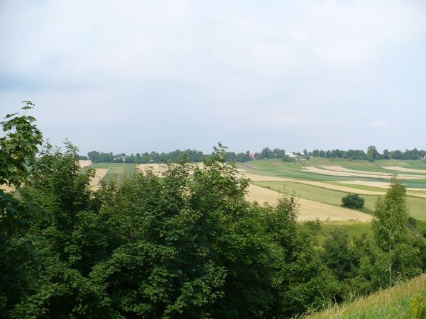 Panorama Winiar od strony południowej.