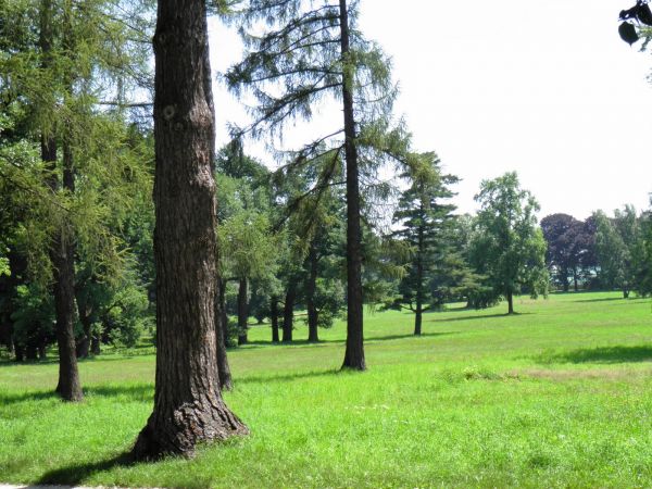 Zamek - Muzeum w Łańcucie. Park - fragment