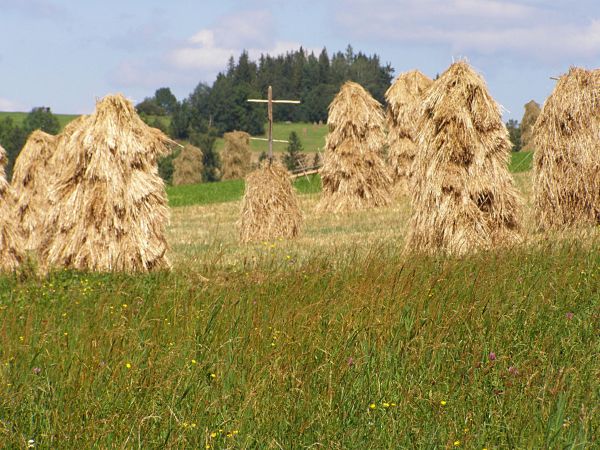 Gliczarów Dolny - tańczące chochoły
