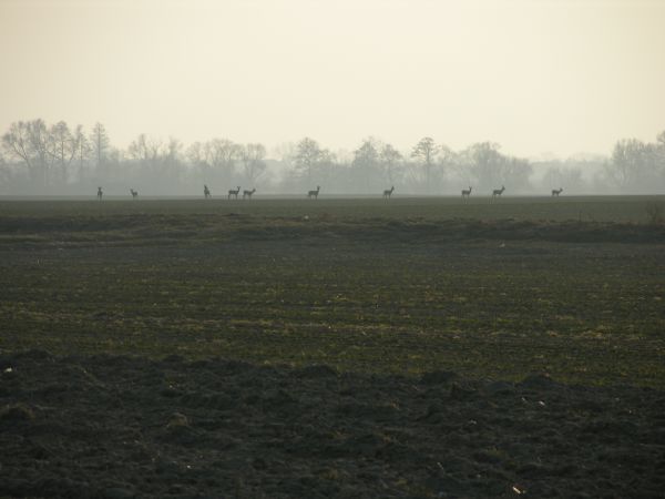 Zdjęcia Zabardowice