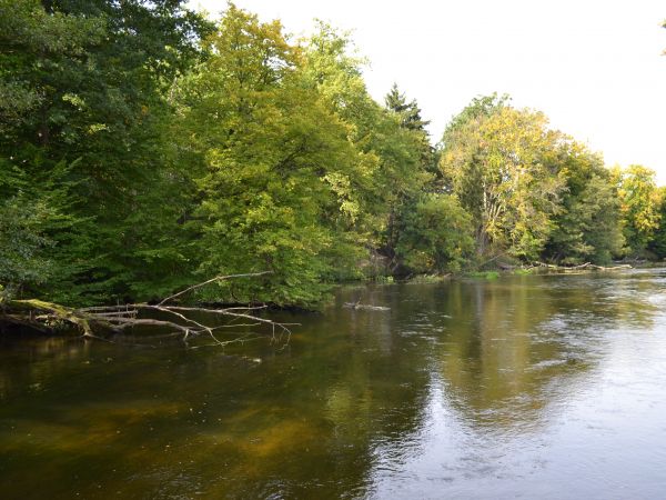 Drawa widok z mostu w PODEGRODZIU