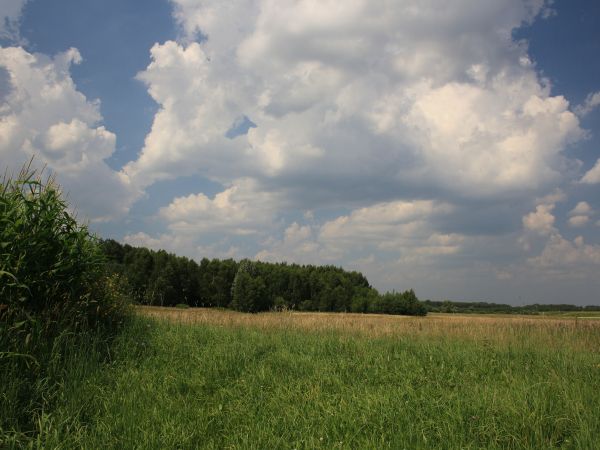 zdjecie Tyniewicze Duże