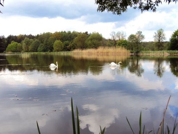 Piękne położenie Łazowej na Roztoczu Południowym, w niedalekiej odległości ob Lubyczy i Bełżca, gdzie z okien widać najwyższe wzniesienia Krągły Goraj i Długi G