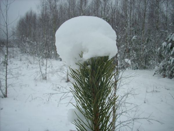 zdjecie Piłatowszczyzna