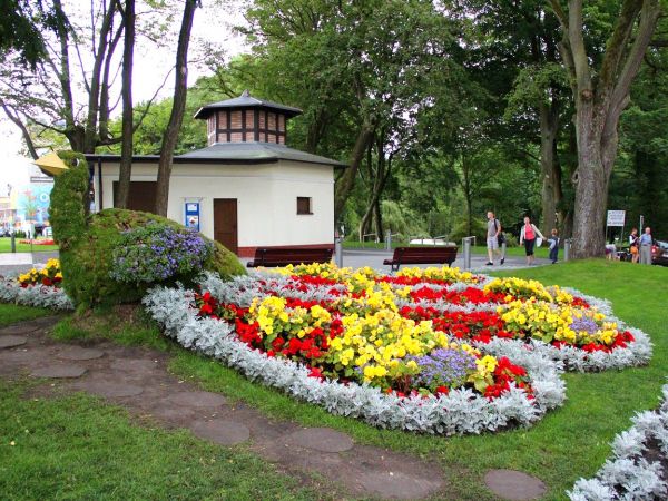 Ogröd obok promenady