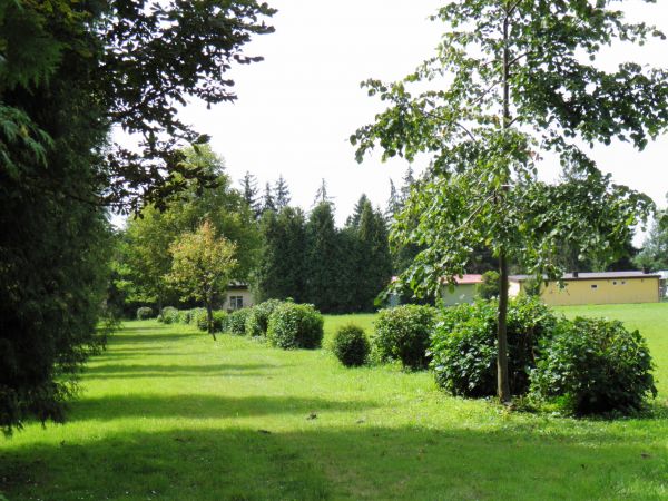 Park Zdrojowy powstały w latach 20-tych XX wieku. Aleja Tujowa.