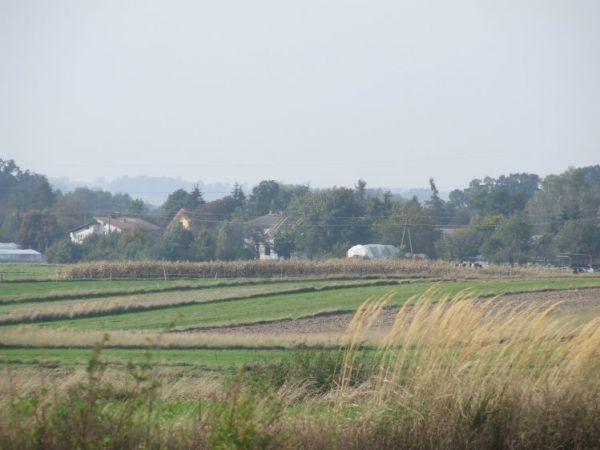 zdjecie Małochwiej Mały