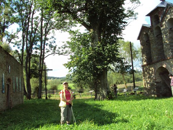 od lewej: fronton cerkwi, krzyż - może na pamiątkę rocznicy Chrztu Rusi, jawor - drzewo pomnikowe, co świadkiem odpustów był i cieniem służył / ochraniał, za ni
