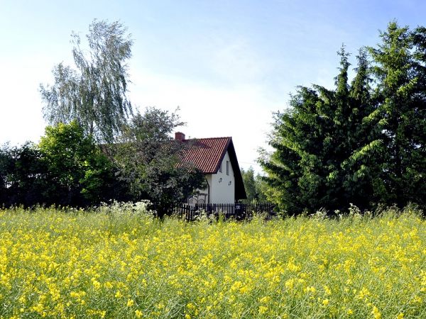 Jaśki, powiat olecki