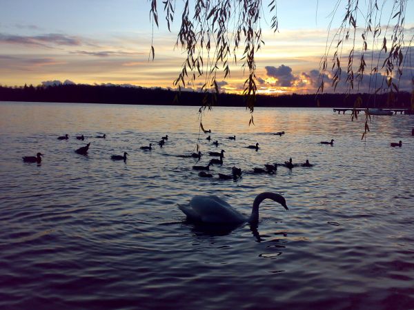 Zachód słońca nad jeziorem.