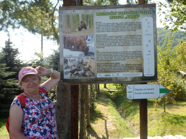 plansza tematyczna na trasie "Ścieżki przyrodniczo-edukacyjnej" - tu przy Muzeum "Knieja".