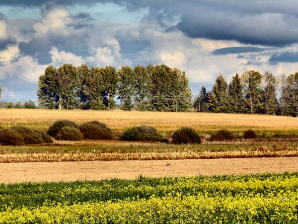 zdjecie Tyniewicze Duże