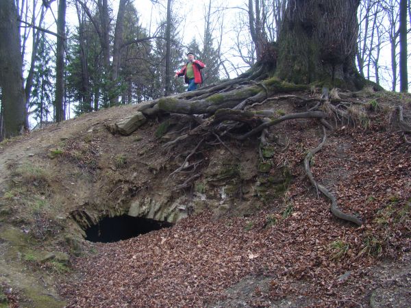 Wzmianka z 1485r. wspomina o napadzie i spaleniu dworu i wieży w Zboiskach, podobno w zamku tym żupnik tyrawski Matiasz miał osadzić zbójów węgierskich - na zdj