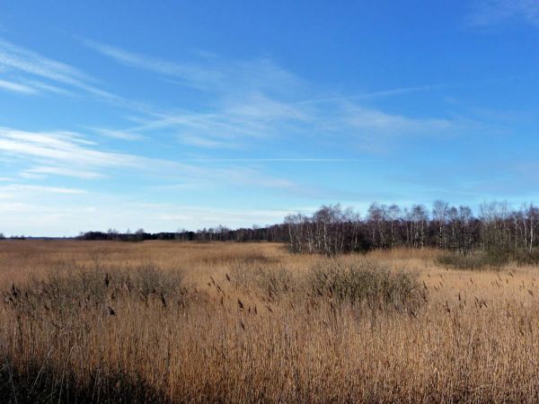 Wspaniałe miejsce dla miłośników kontaktu z naturą