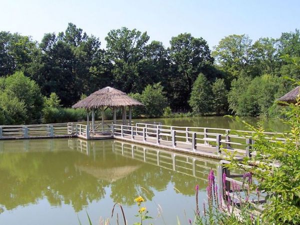 Arboretum Stradomia Wierzchnia