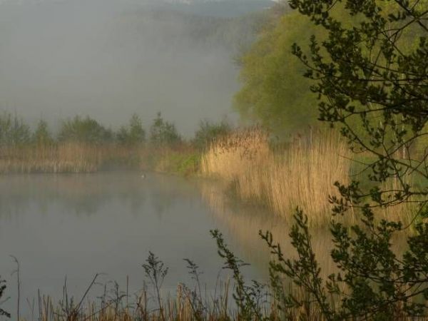 zdjecie Jelenia Góra