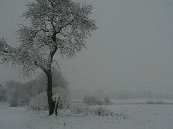 Zdjęcia Chwałowice