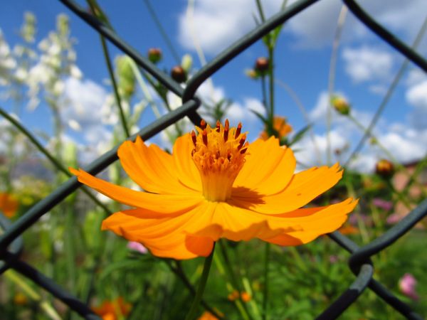 Ogród w centrum miasta