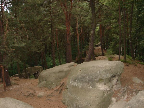 zdjecie Ciężkowice