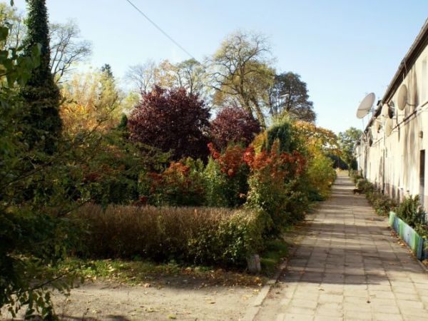 zdjecie Szklarka Radnicka