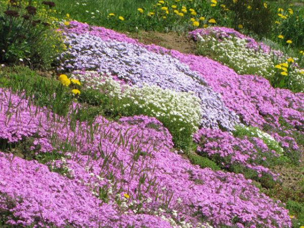 wieś o bogatym historycznym dorobku ale i dzisiaj ludzie pracowici, za lepszym jutrem podążający a i otoczenie pięknem nasycone !