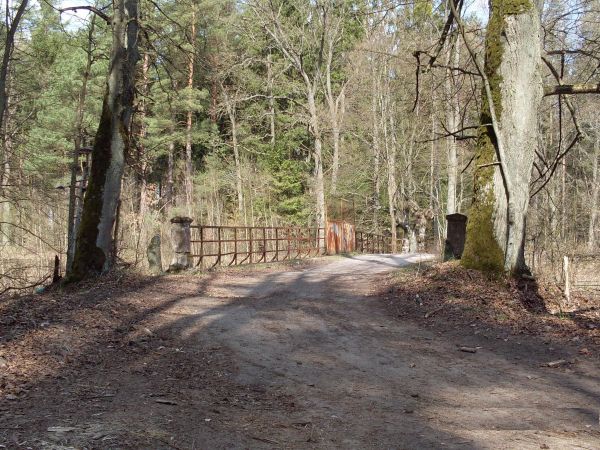 Zapomniany wiadukt w lesie.