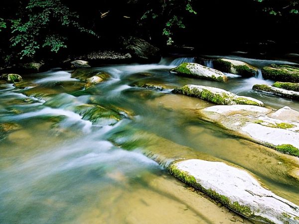 Nowosiółki - Hoczewka