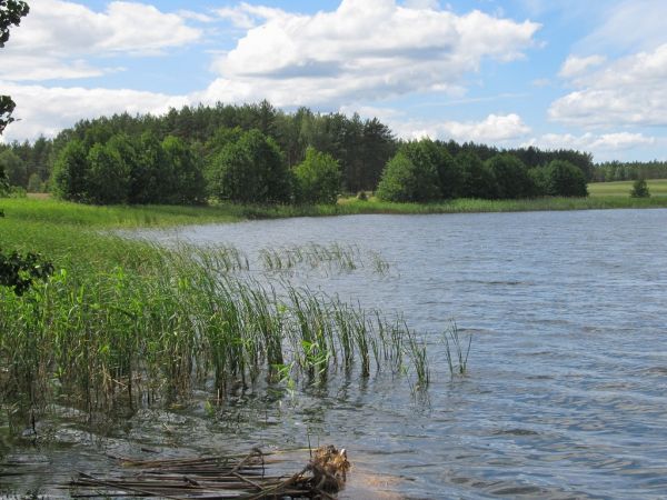 Jezioro Lubiki w Lubikach