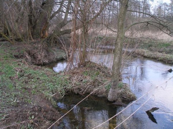 Rzeka Długa pod Ossowem