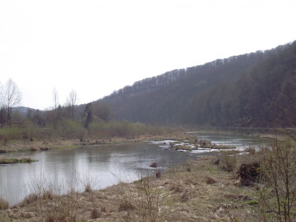 rzeka San - nurt skromny, bo przed zaporą w Myczkowcach wody rzeki przez sztolnię skierowane zostały na obiekty hydroelektrowni a z tego miejsca - po ok. 1 km -