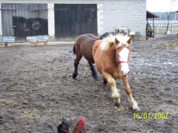 Zdjęcia Wola Drzewiecka