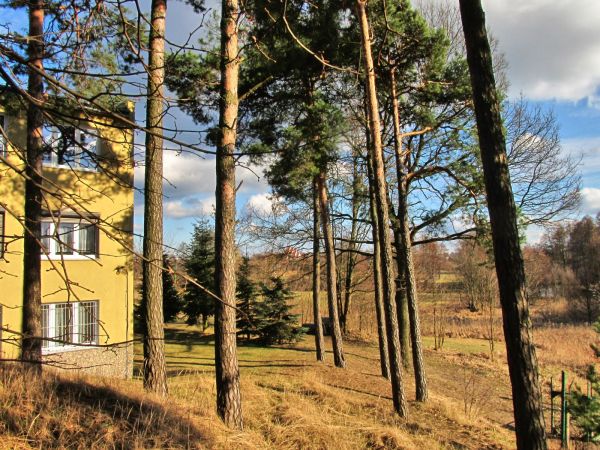 Fragment budynku Urzędu Miasta przy ulicy Mickiewicza 7, łąki nad Wdą oraz dach kościoła położonego przy ulicy Starogardzkiej