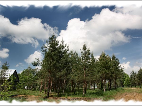 zdjecie Tyniewicze Duże