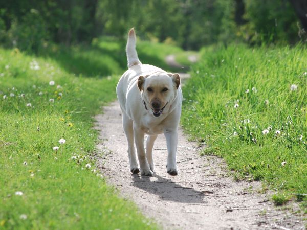 Wiosenny spacer po marianowskich łąkach