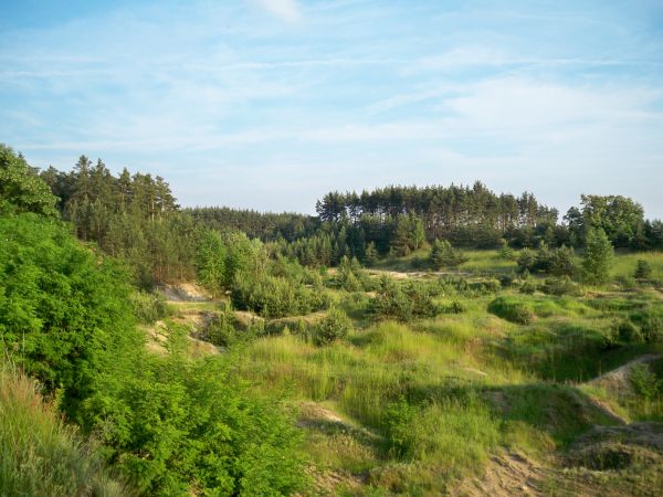 zdjecie Trzęsów