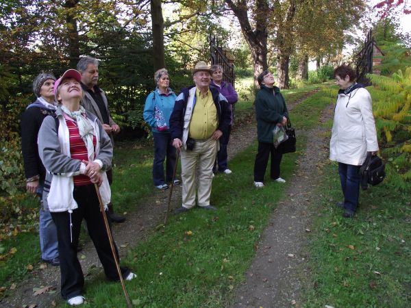 przy bramie parkowej, dalej aleja kasztanowa, zaś na potężnej brzozie przy stawie : pielesz - gniazdo ptaka drapieżnego, mówiono że nawet to puchacza - najwięks