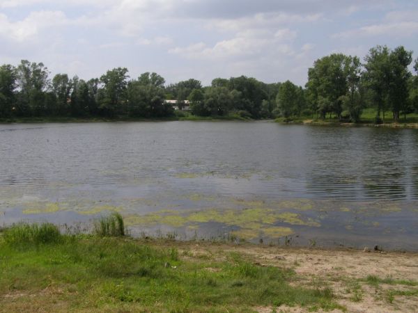 Głogów  Famaba z tyłu fot. 2