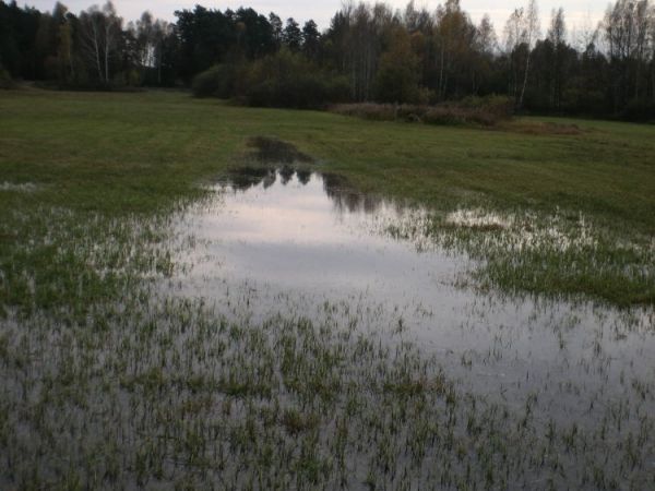 zdjecie Ulaski Stamirowskie