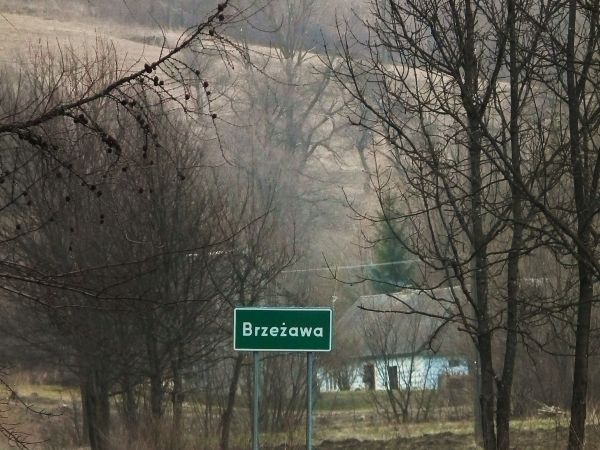 zdjecie Brzeżawa