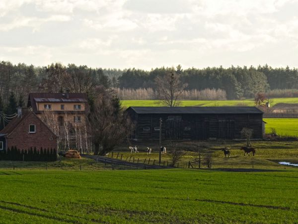 Stary Targ - styczeń 2015.