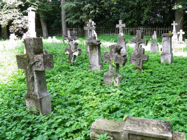 Stary , zabytkowy cmentarz greckokatolicki w Radrużu. Krzyże i figury  nagrobne wykonane przez artystów - kamieniarzy ze Starego Brusna . Wsi tamtej nie ma , lu